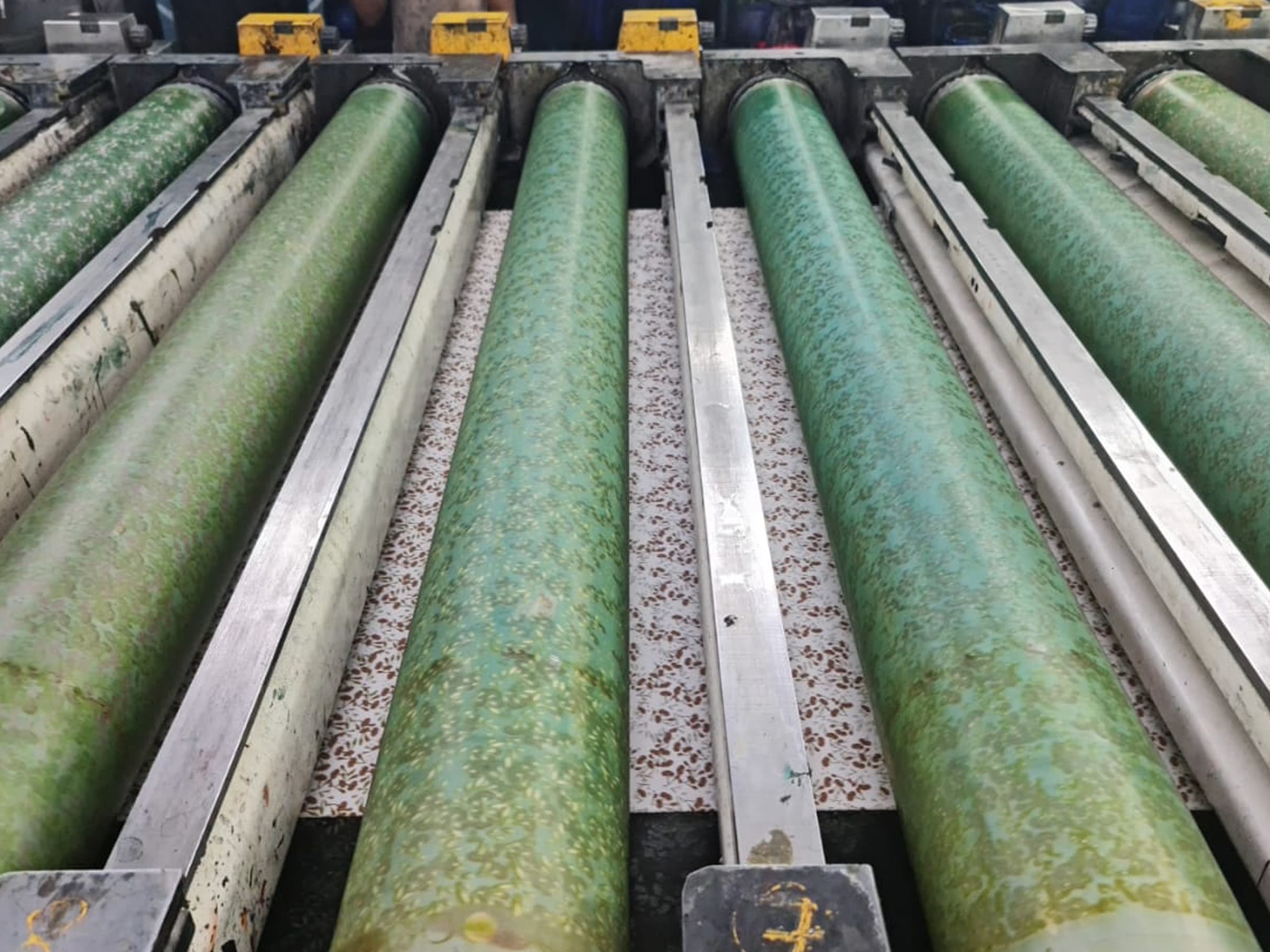 Rotary printing machine